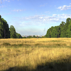 A view of the city from Richmond Park, London in HDR. August 2015.